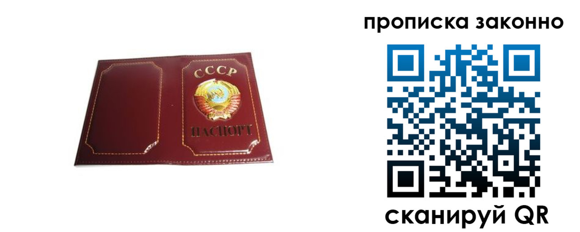 прописка законно в Пионерском